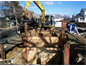 Environmental Management Associates project photo