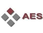 Advanced Electronic Security logo