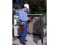 Dome Electric & Datacom project photo