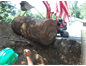 Environmental Strategies & Applications, Inc. project photo