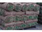 Delea Sod Farms Inc. project photo